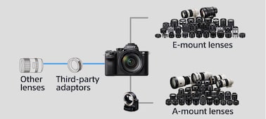 α7S II E-mount 相機備有全片幅感光元件 的相片