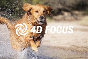 4D FOCUS 相機設定指南