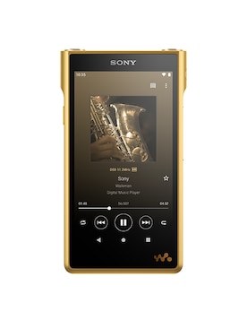 WM1ZM2 Walkman 的正視圖，顯示屏顯示正在播放音樂的介面