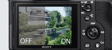 α7S II E-mount 相機備有全片幅感光元件 的相片