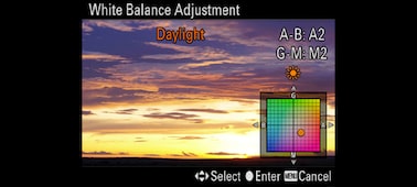 α7S II E-mount 相機備有全片幅感光元件 的相片